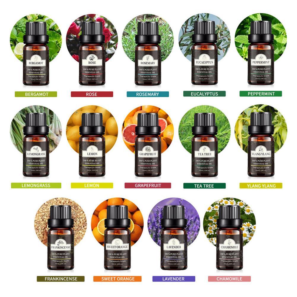 Premium Essential Oil Set Plant Aroma.